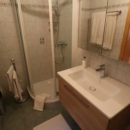 Heidi 公寓 巴德小基希海姆